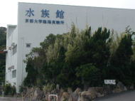京大白浜水族館